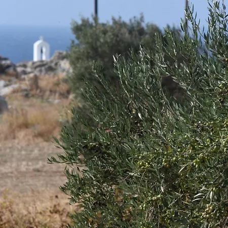 Dionysos Villa *